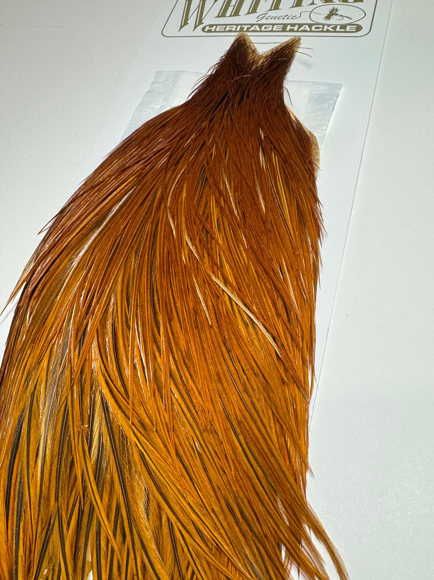Whiting Farms Heritage Hackle Rooster Cape: Brown  SH-E-080