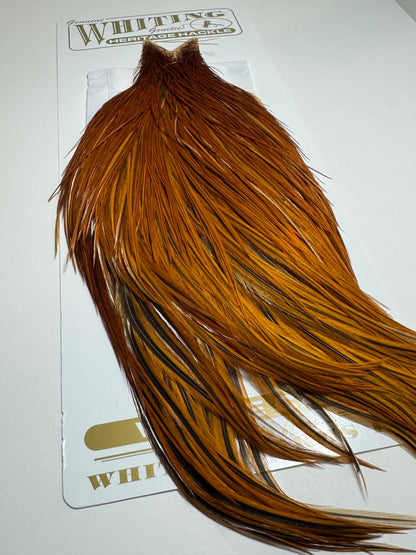 Whiting Farms Heritage Hackle Rooster Cape: Brown  SH-E-080