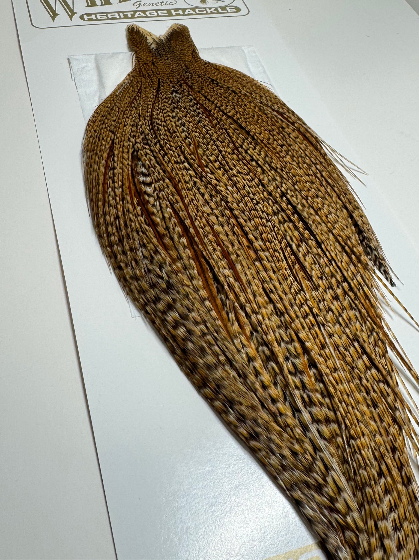 Whiting Farms Heritage Hackle Rooster Cape: Cree- Grade 1 SH-E-082