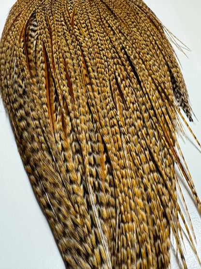 Whiting Farms Heritage Hackle Rooster Cape: Cree- Grade 1 SH-E-082