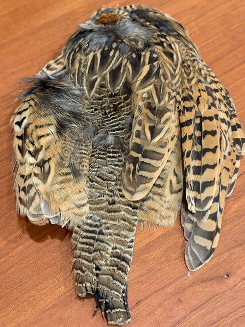 Francolin Hen Skin