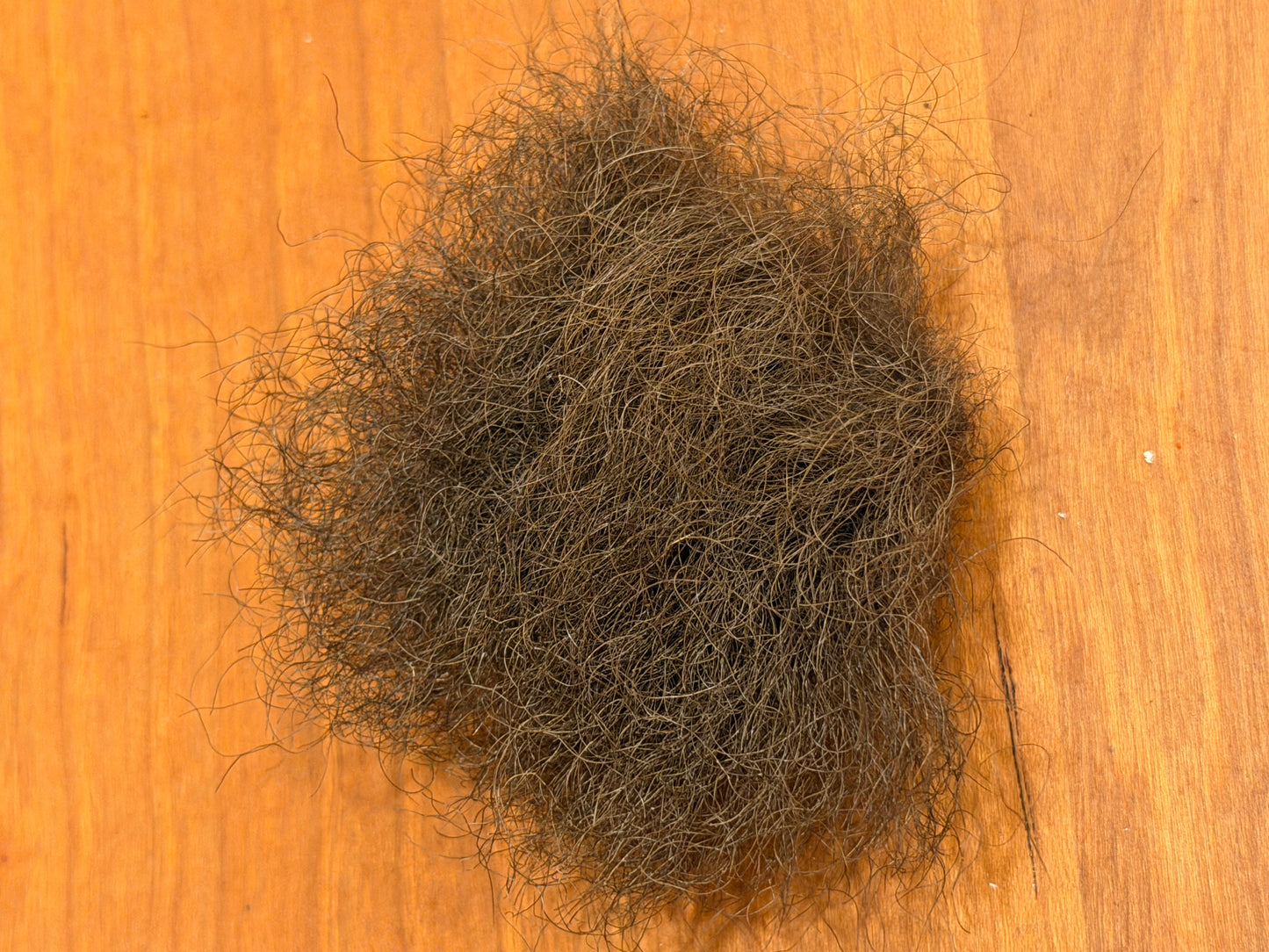Buffalo Body Hair