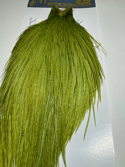 Whiting Farms High & Dry Hackle: White Dyed Olive Cape SH-E-086