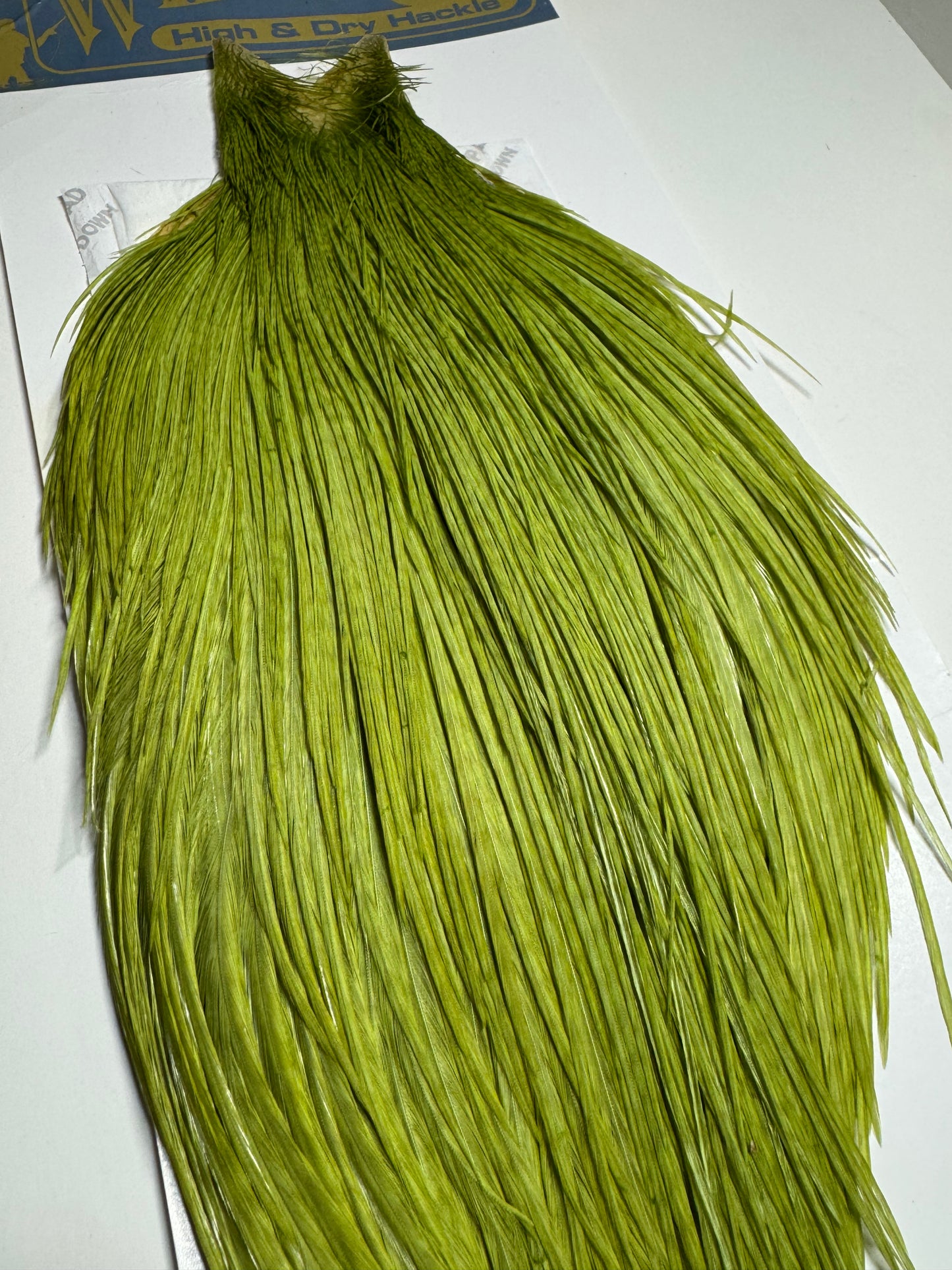 Whiting Farms High & Dry Hackle: White Dyed Olive Cape SH-E-086