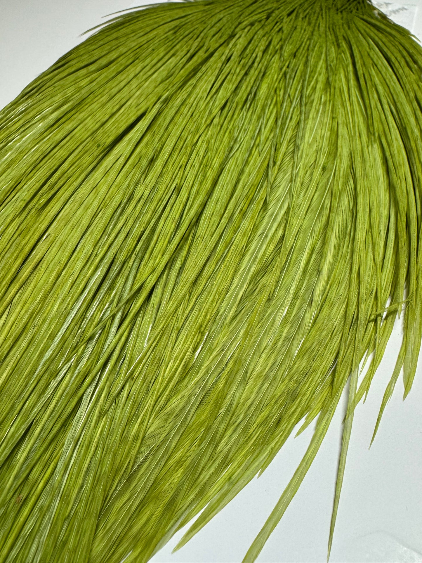 Whiting Farms High & Dry Hackle: White Dyed Olive Cape SH-E-086