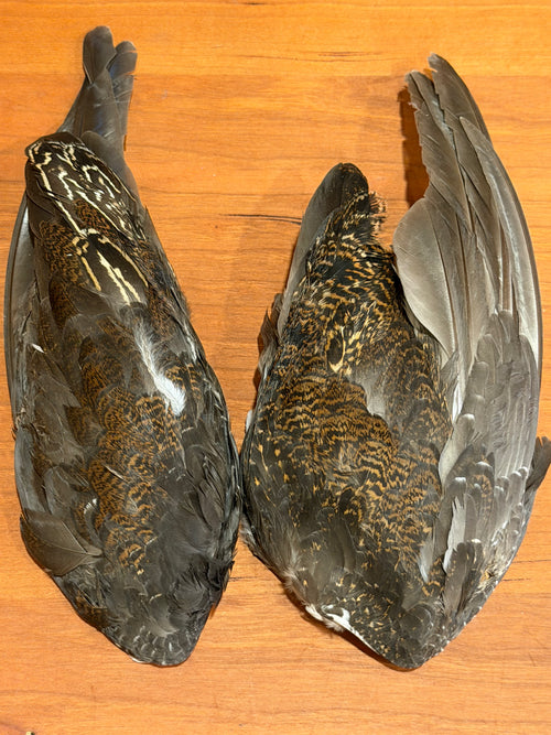 Grouse Wings (pair)