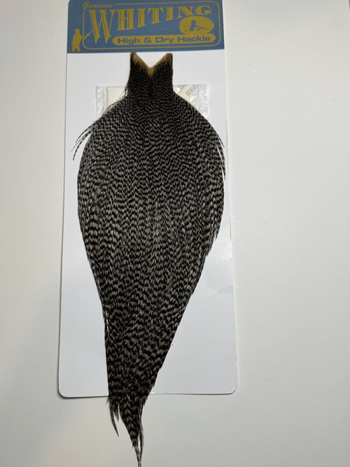 Whiting Farms High and Dry Hackle Rooster Cape: Grizzly Dyed Medium Dun SH-E-089