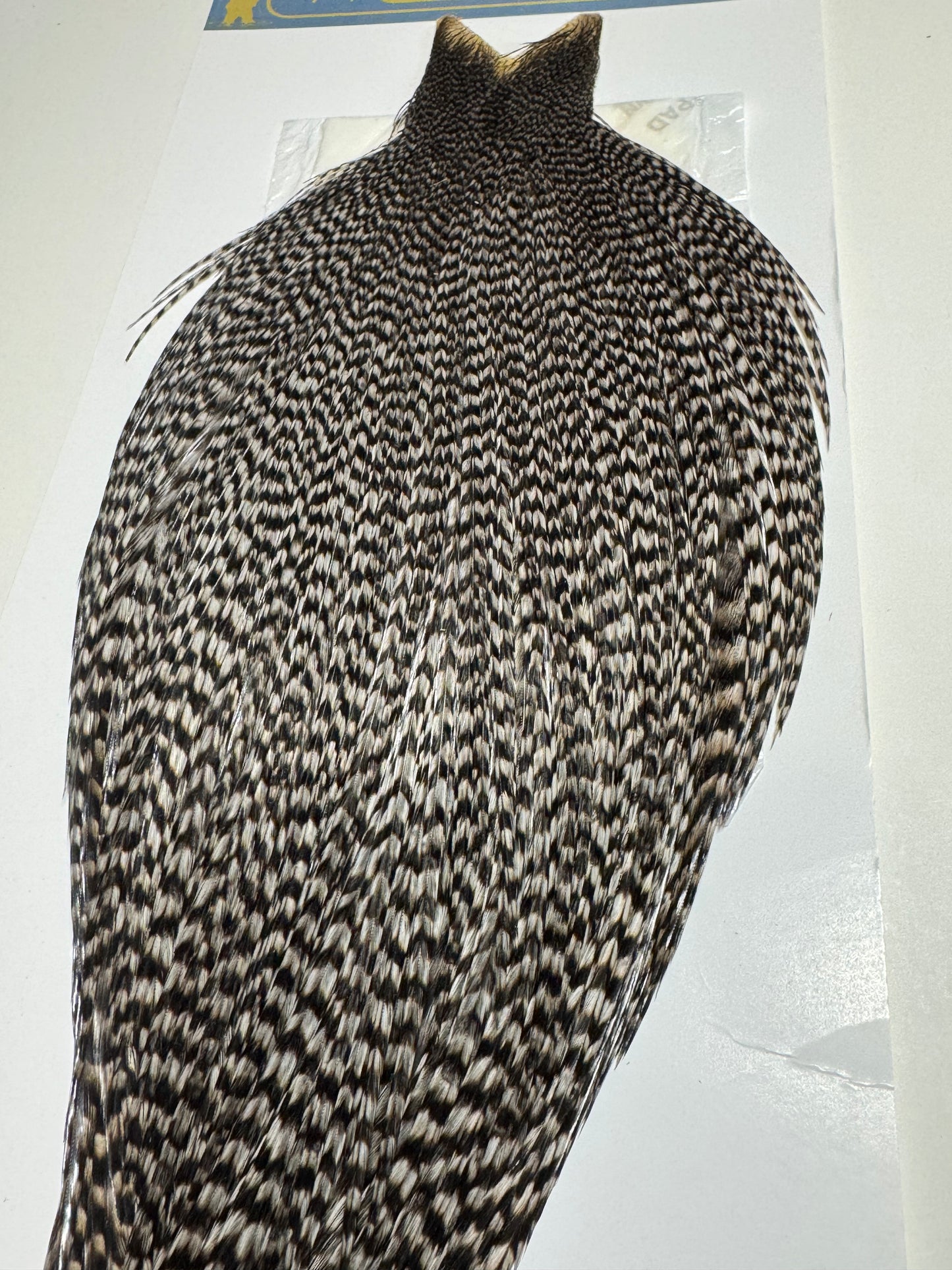 Whiting Farms High and Dry Hackle Rooster Cape: Grizzly Dyed Medium Dun SH-E-089