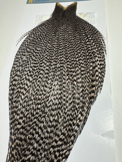 Whiting Farms High and Dry Hackle Rooster Cape: Grizzly Dyed Medium Dun SH-E-089