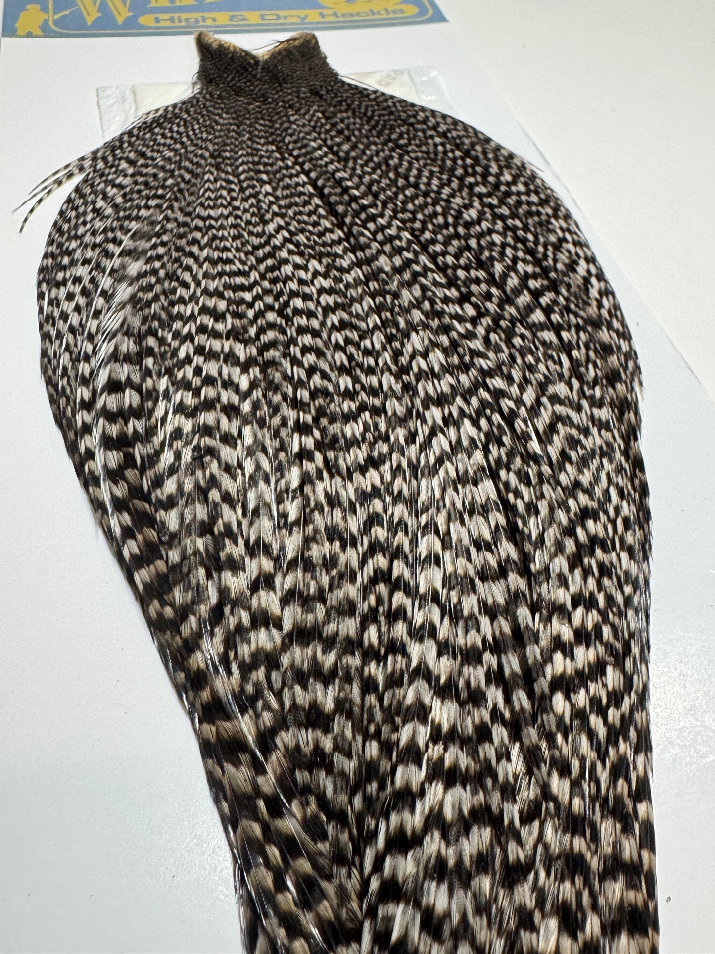 Whiting Farms High and Dry Hackle Rooster Cape: Grizzly Dyed Medium Dun SH-E-089