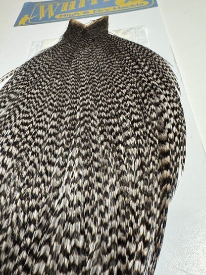 Whiting Farms High and Dry Hackle Rooster Cape: Grizzly Dyed Medium Dun SH-E-089