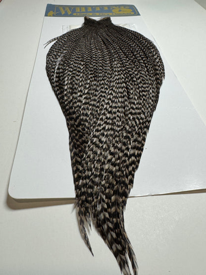 Whiting Farms High and Dry Hackle Rooster Cape: Grizzly Dyed Medium Dun SH-E-089