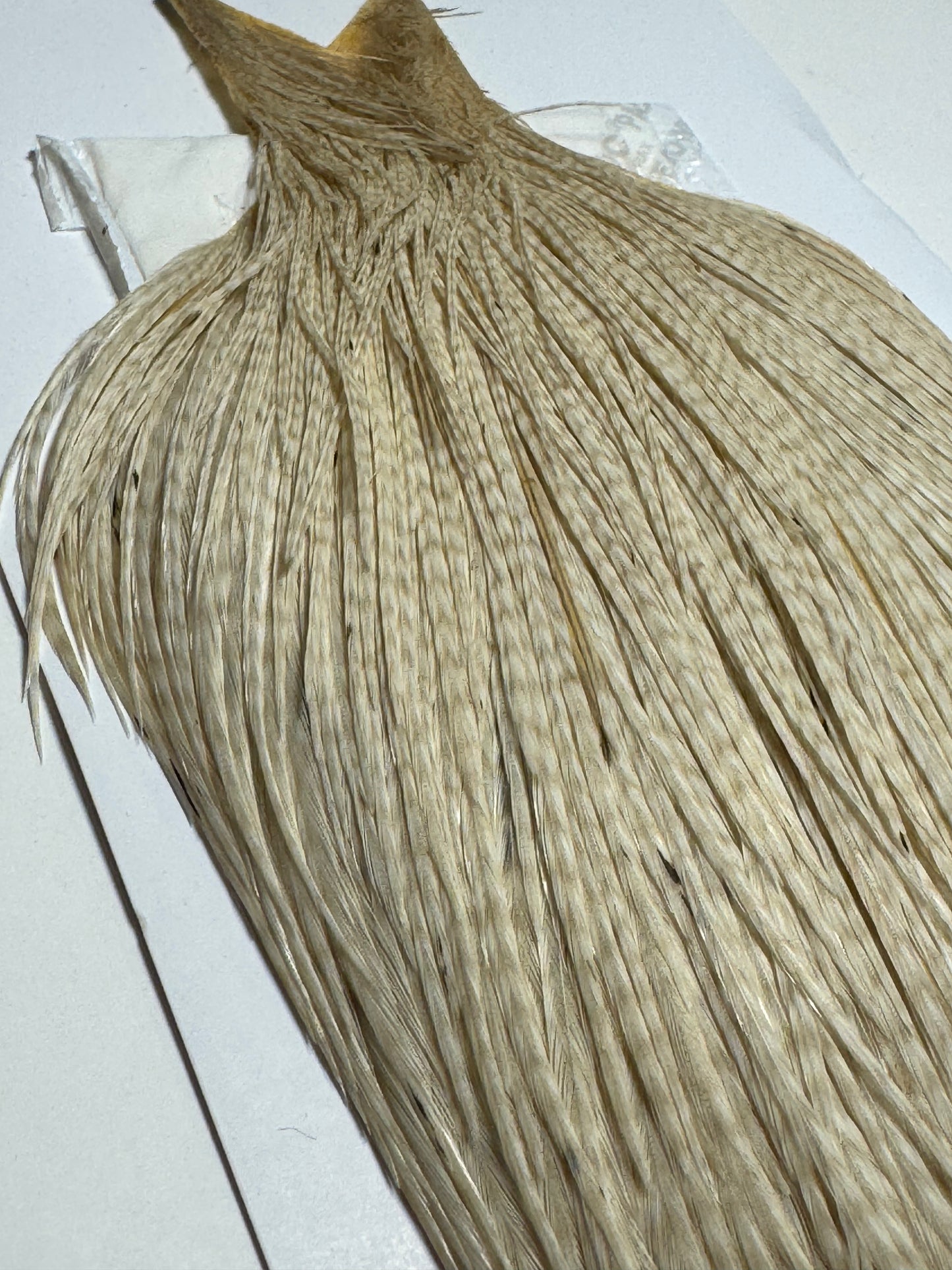 Whiting Farms High and Dry Rooster Cape Hackle: Ghost Barred White SH-E-090