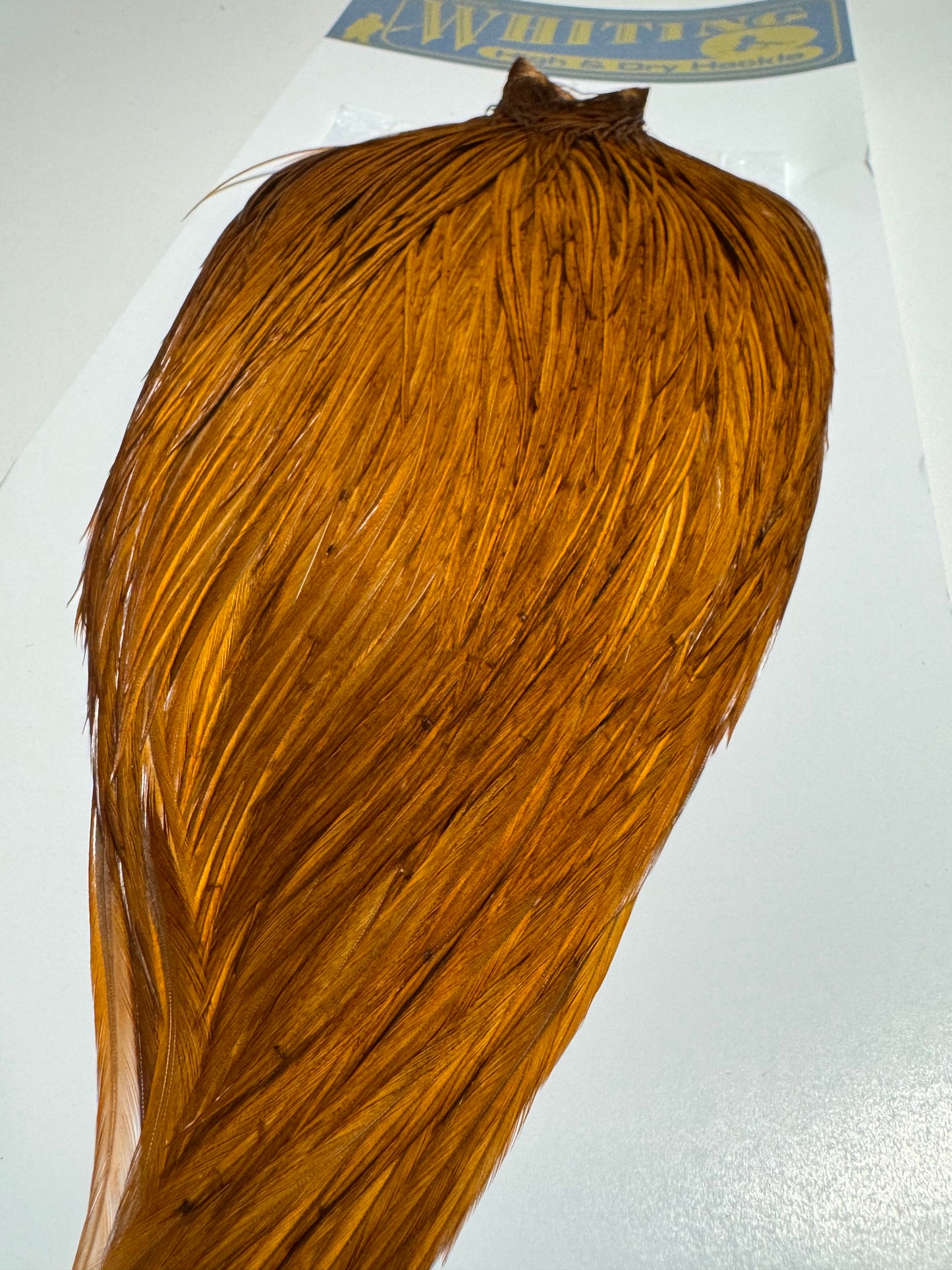 Whiting Farms High and Dry Hackle Rooster Cape: White Dyed Brown SH-E-091