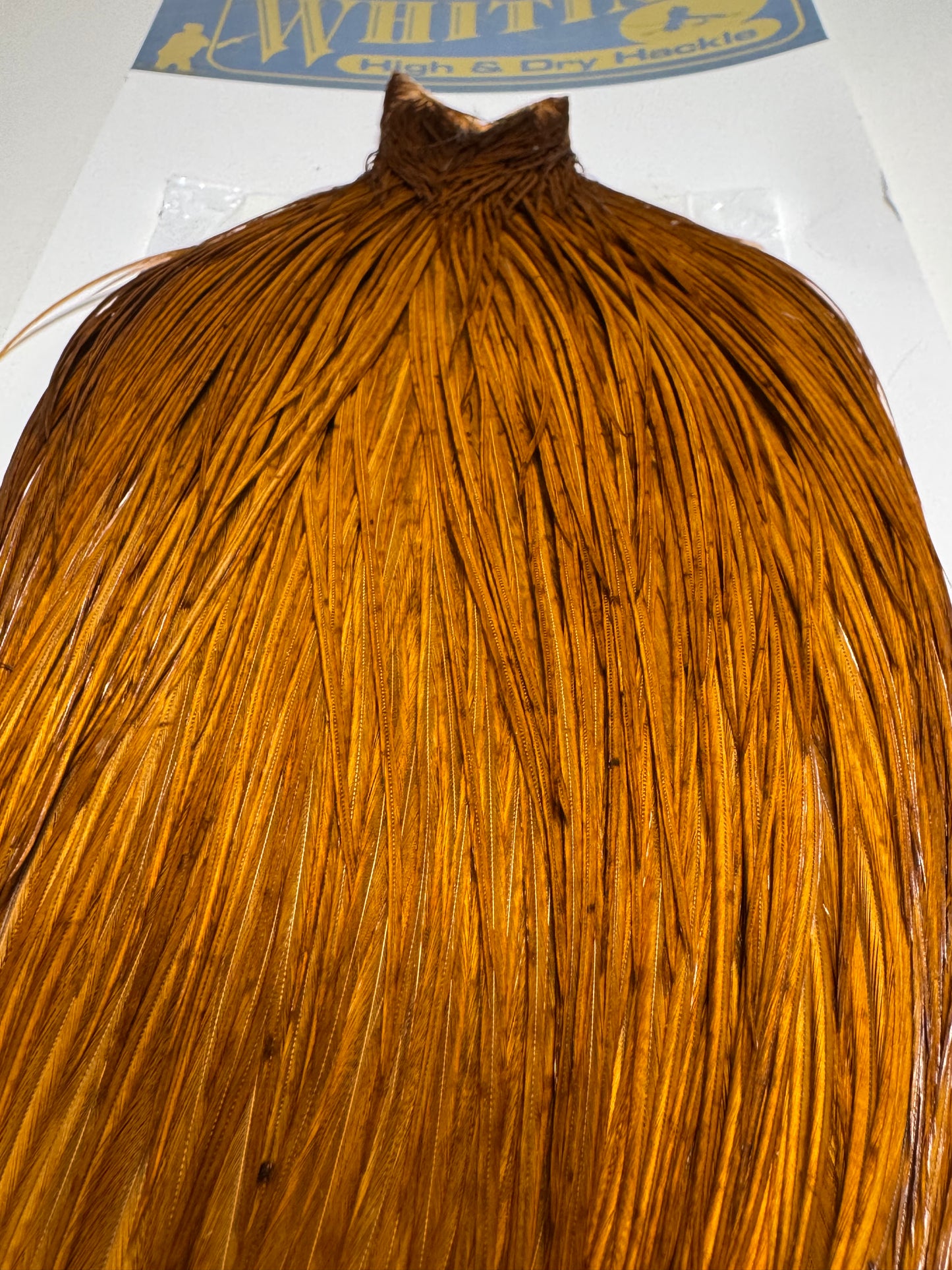 Whiting Farms High and Dry Hackle Rooster Cape: White Dyed Brown SH-E-091