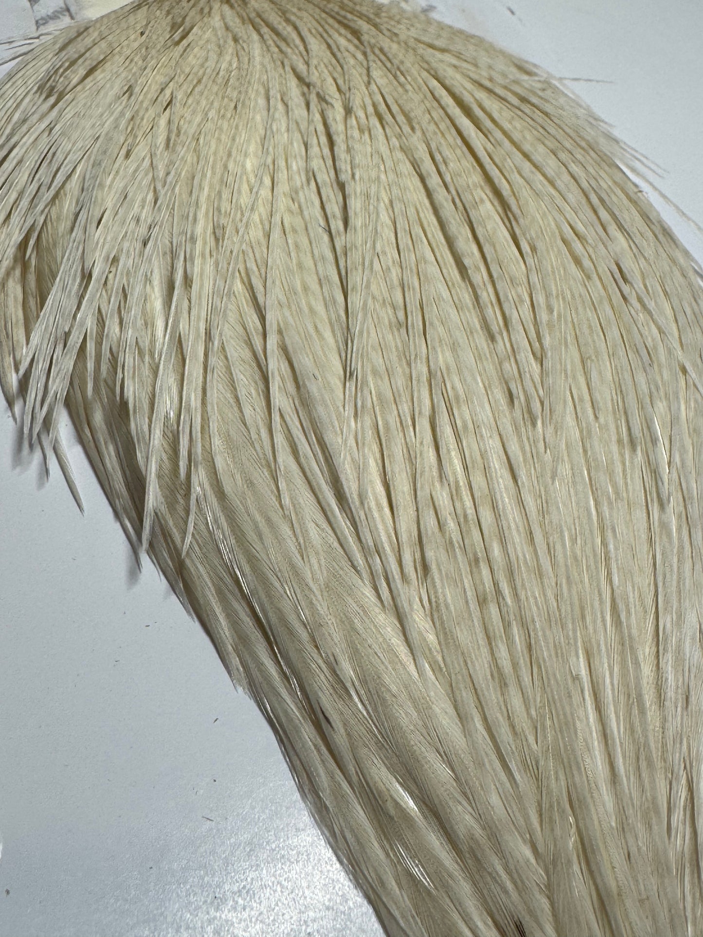 Whiting Farms High and Dry Hackle Rooster Cape: White SH-E-093