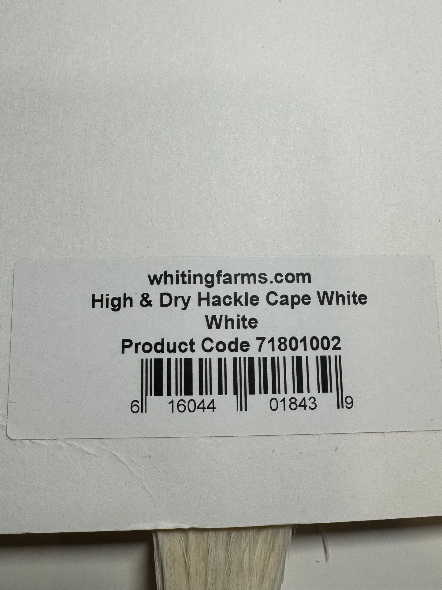 Whiting Farms High and Dry Hackle Rooster Cape: White SH-E-093