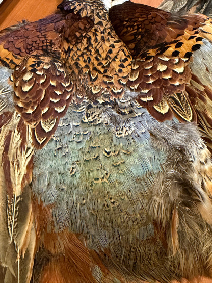 Full Pheasant Skin: Premium Fly Tying Feathers