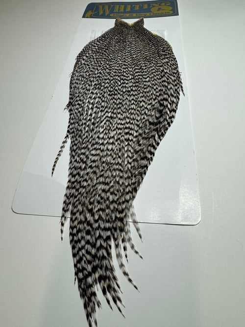 Whiting Farms High and Dry Hackle Rooster Cape: Grizzly SH-E-094