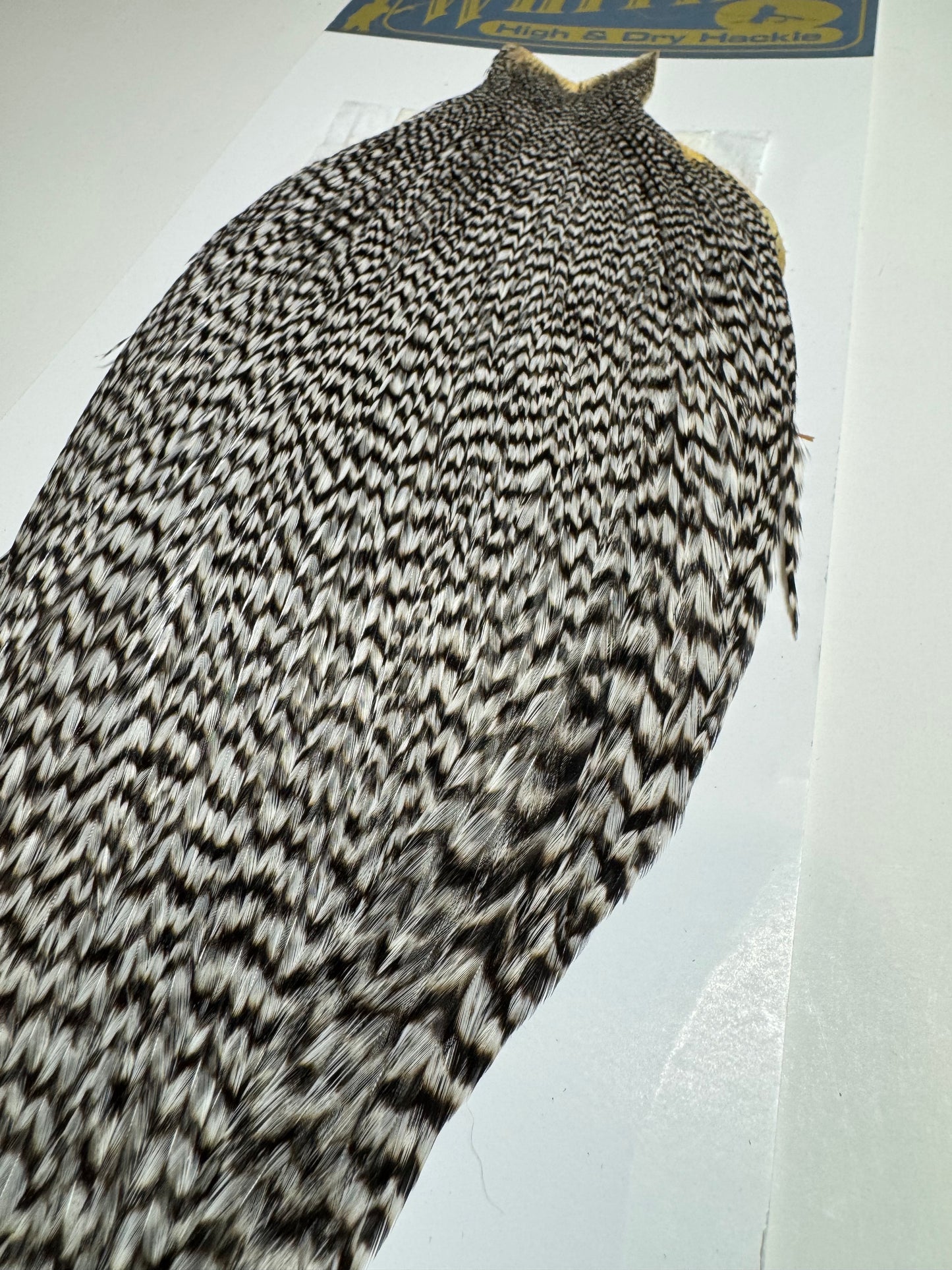 Whiting Farms High and Dry Hackle Rooster Cape: Grizzly SH-E-094