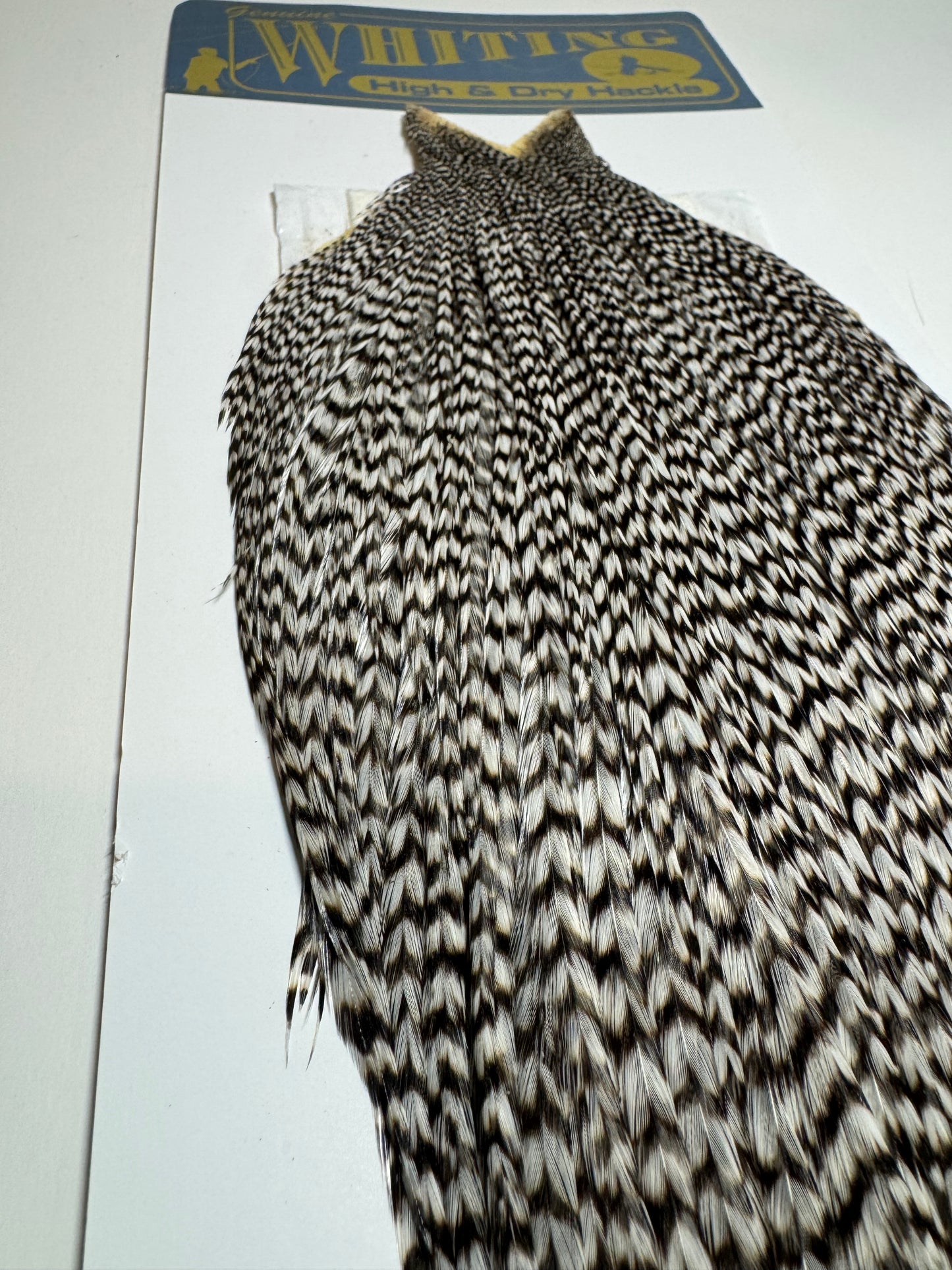 Whiting Farms High and Dry Hackle Rooster Cape: Grizzly SH-E-094