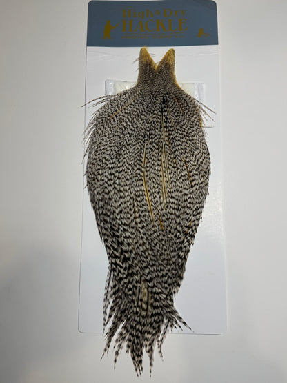 Whiting Farms Hackle Rooster Cape: Grizzly Variant SH-E-097