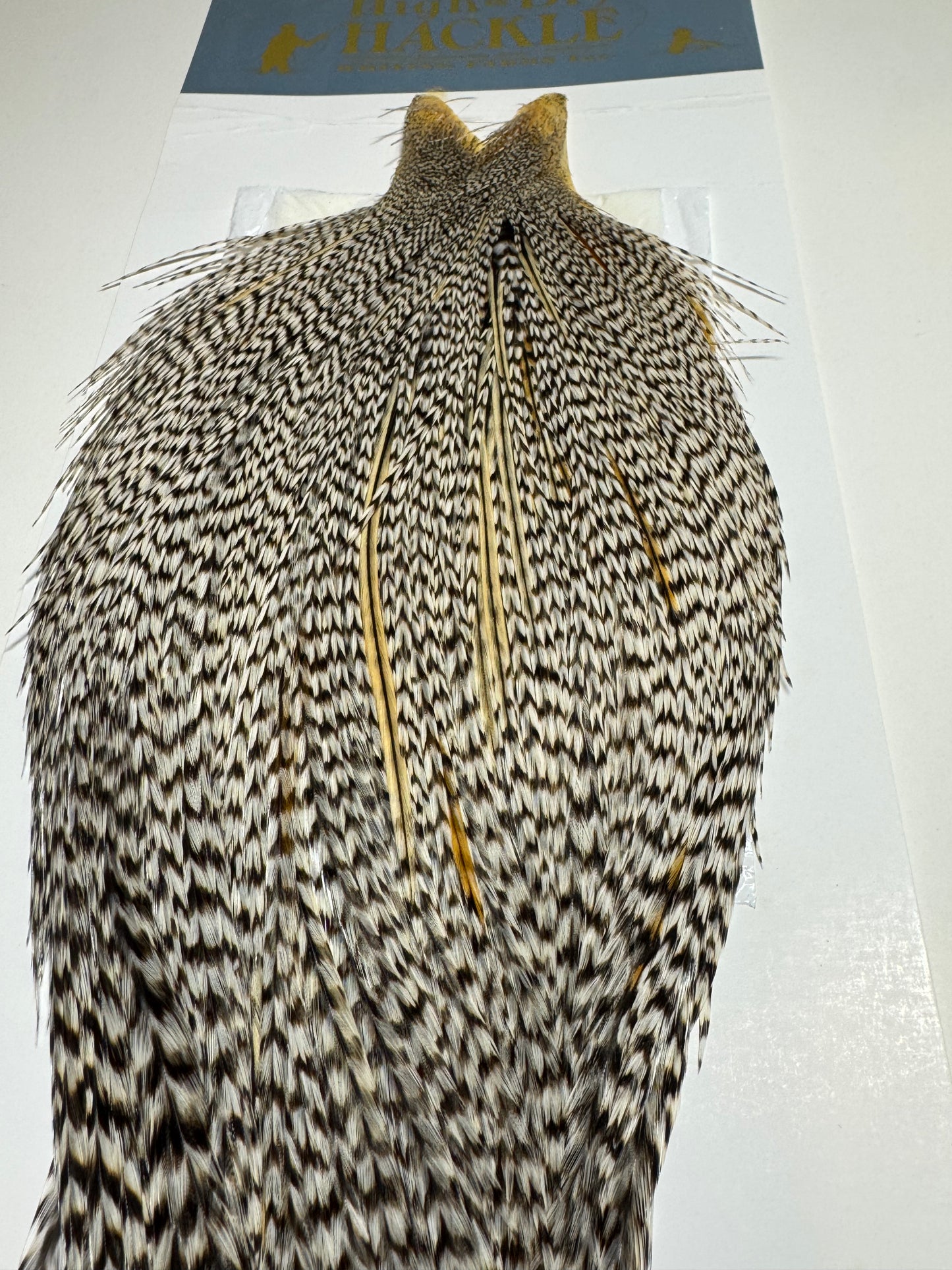 Whiting Farms Hackle Rooster Cape: Grizzly Variant SH-E-097