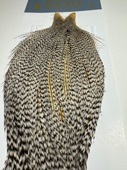 Whiting Farms Hackle Rooster Cape: Grizzly Variant SH-E-097