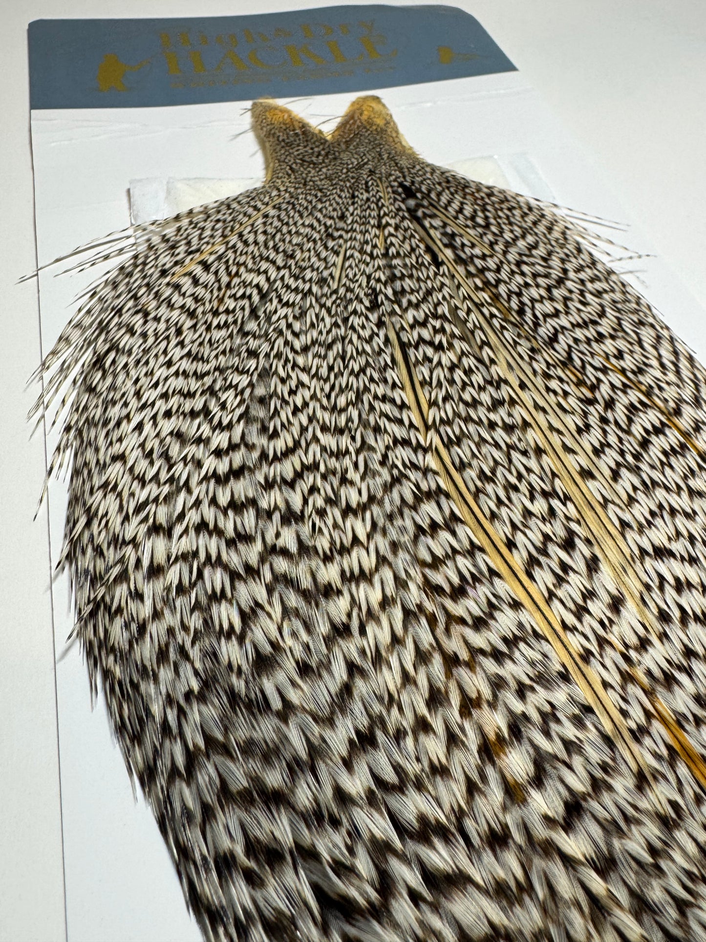 Whiting Farms Hackle Rooster Cape: Grizzly Variant SH-E-097