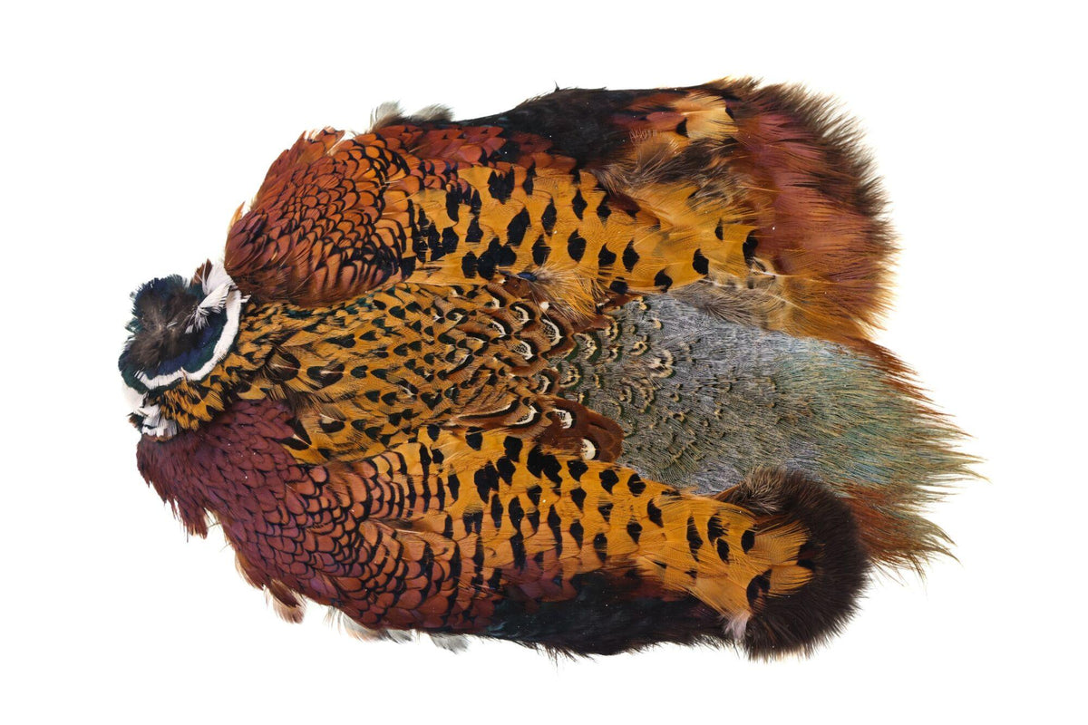 Hareline Ringneck Pheasant Skin: no tail lot