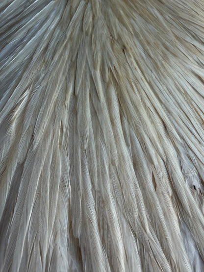 Bobs Hackle Farm Grade 2 Saddle Light Ginger 687-SH-E-L