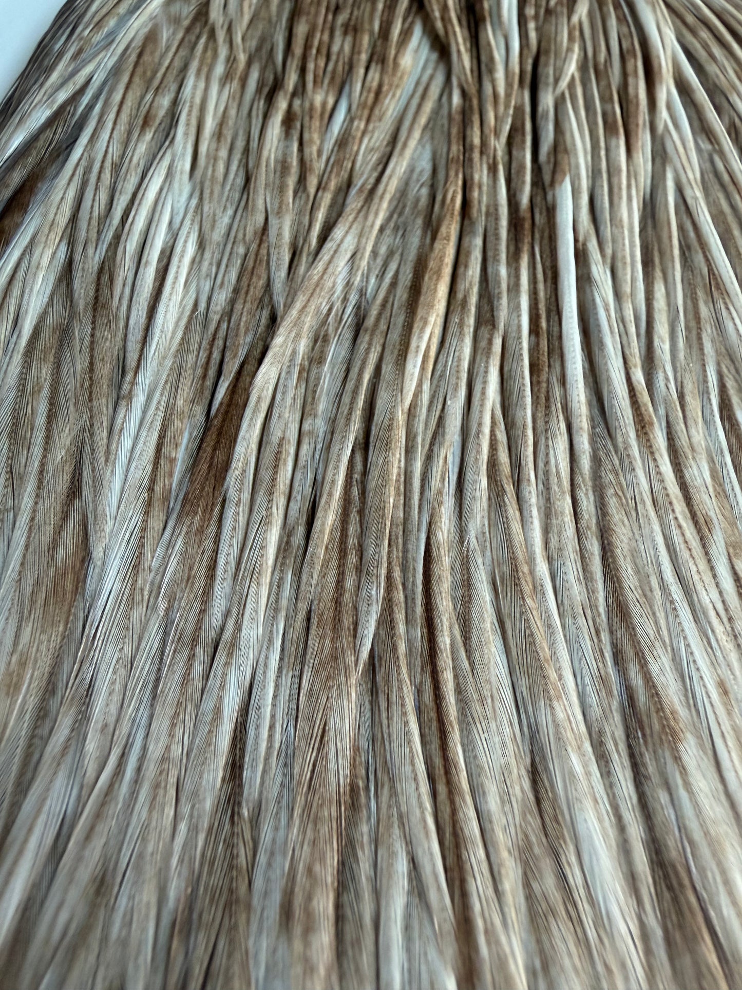 Bobs Hackle Farm #2 Cape Dun 688-SH-E-L