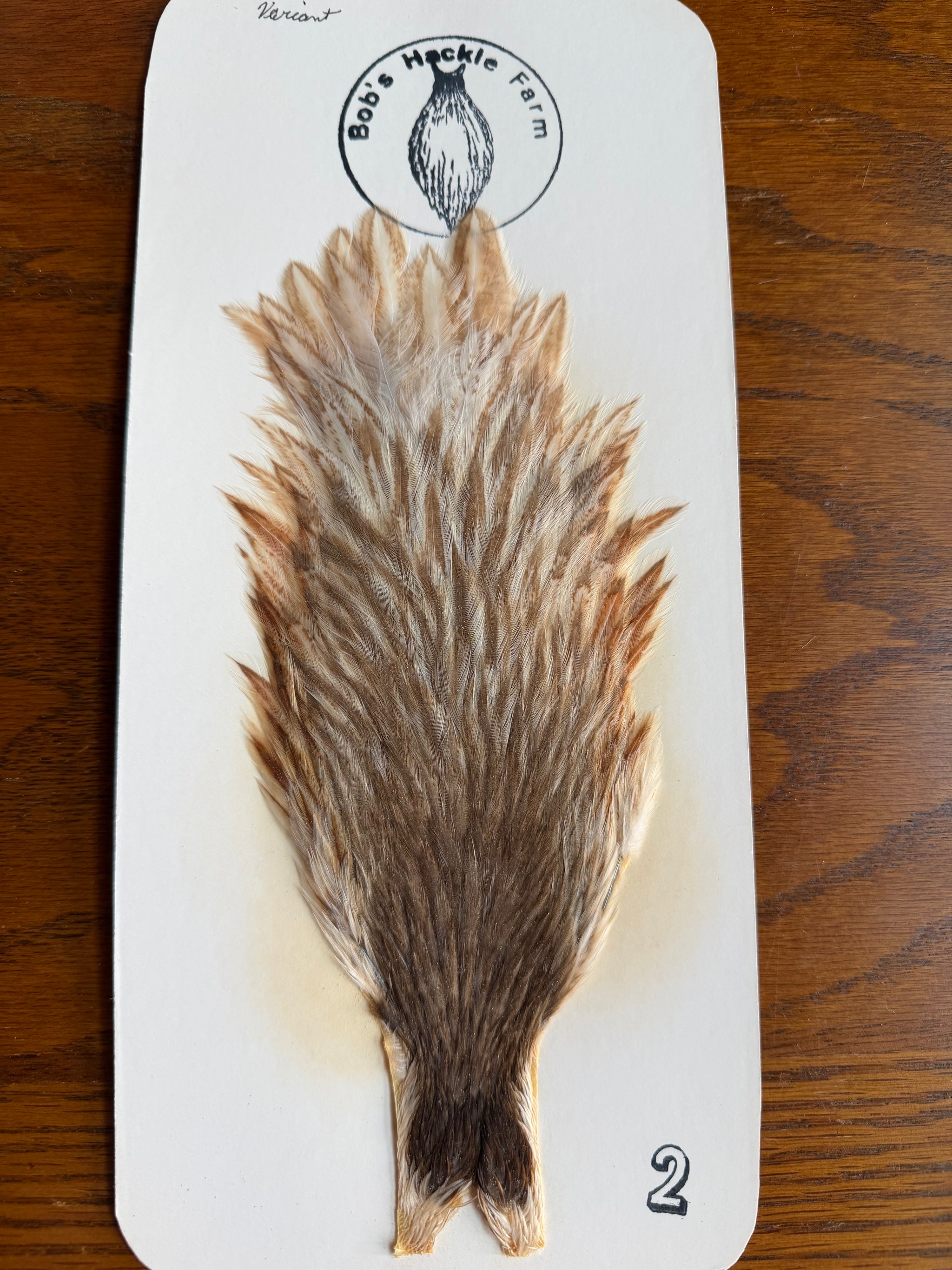 Bobs Hackle Farm #2 Hen Cape Variant 689-SH-E-L