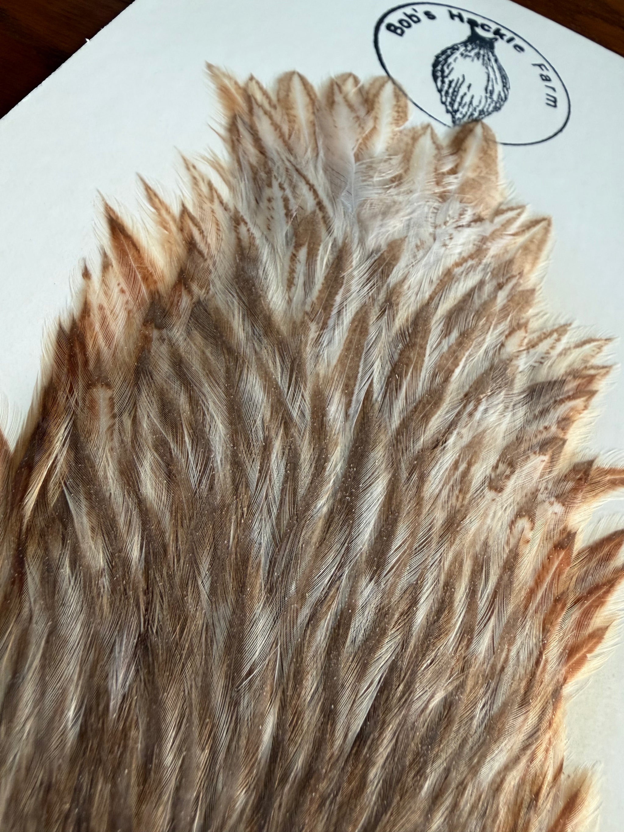 Bobs Hackle Farm #2 Hen Cape Variant 689-SH-E-L