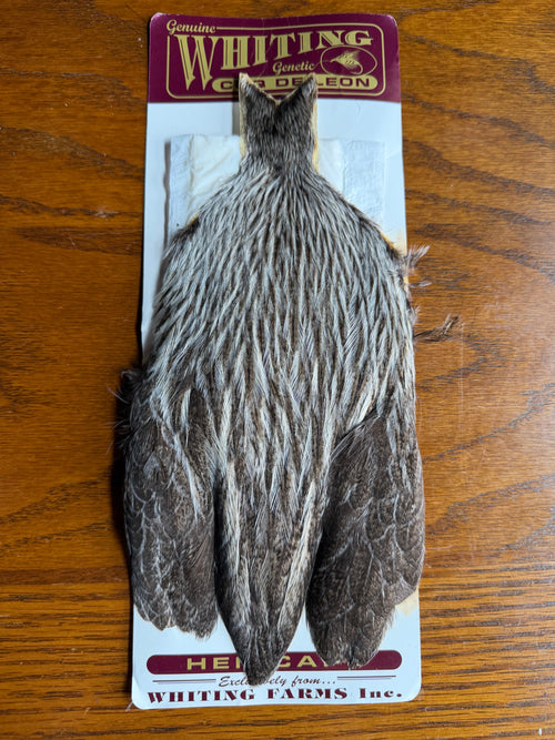 Whiting Farms Coq de Leon Retail Grade Hen Cape Silver Speckled 703-SH-E-L