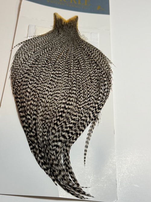 Whiting Farms High & Dry Hackle: Grizzly SH-E-100