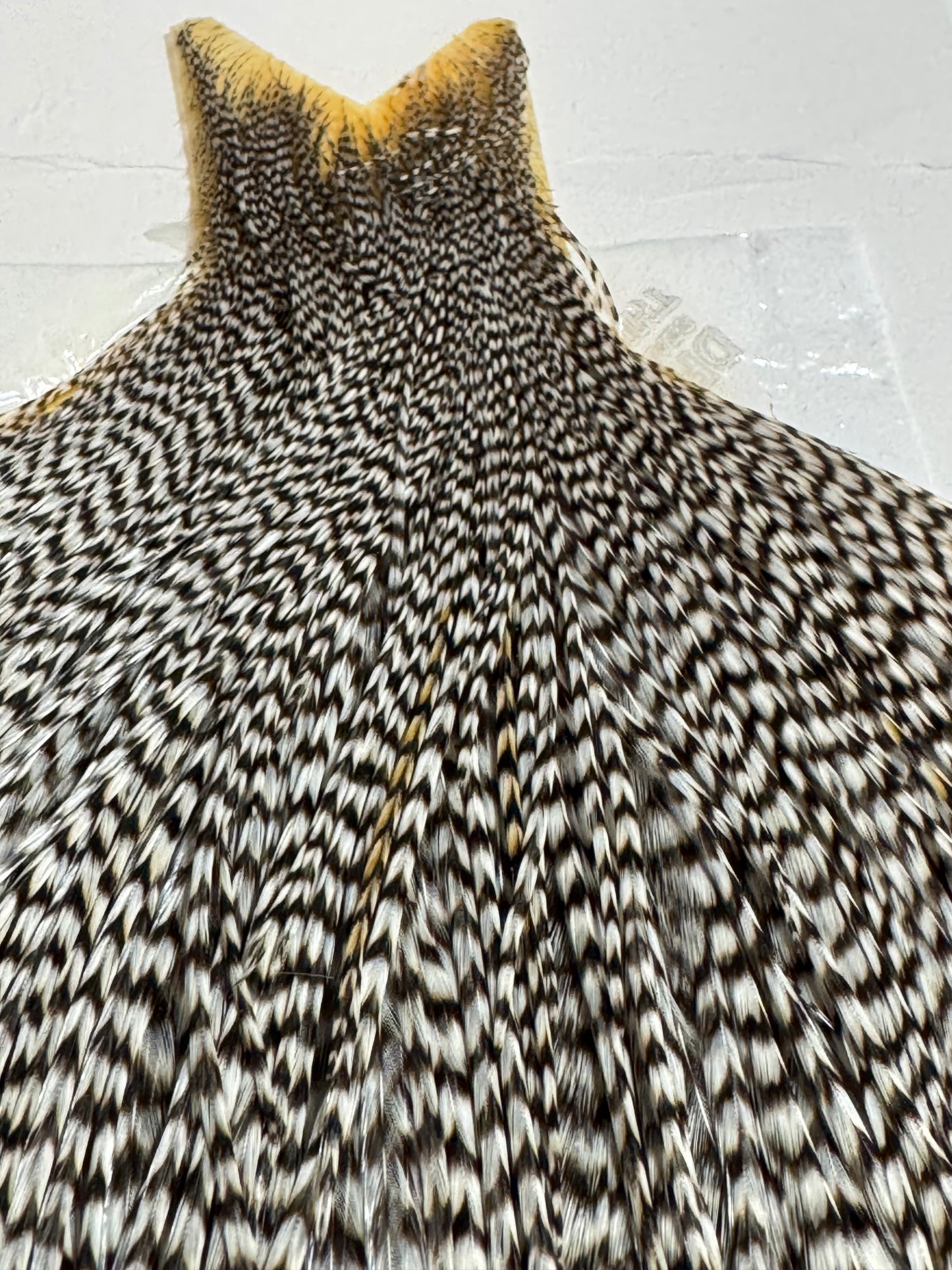 Whiting Farms High & Dry Hackle: Grizzly SH-E-100