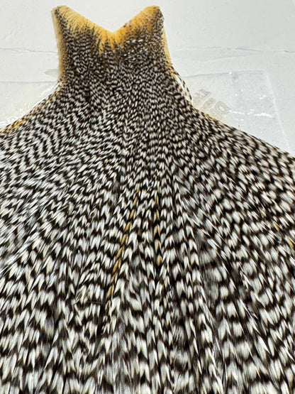 Whiting Farms High & Dry Hackle: Grizzly SH-E-100