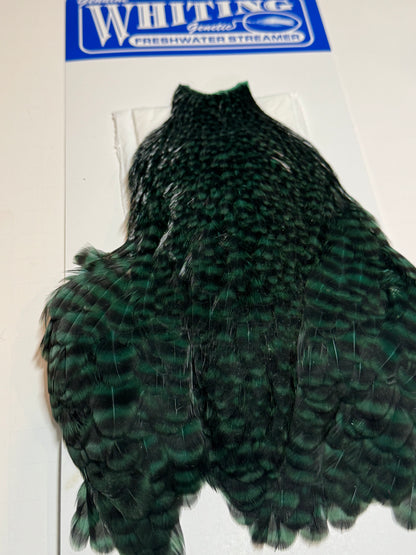 Whiting Farms Freshwater Streamer Hen Cape: Grizzly Peacock SH-E-137