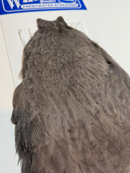 Whiting Farms Freshwater Streamer Hen Cape: White Dyed Dark Dun SH-E-138