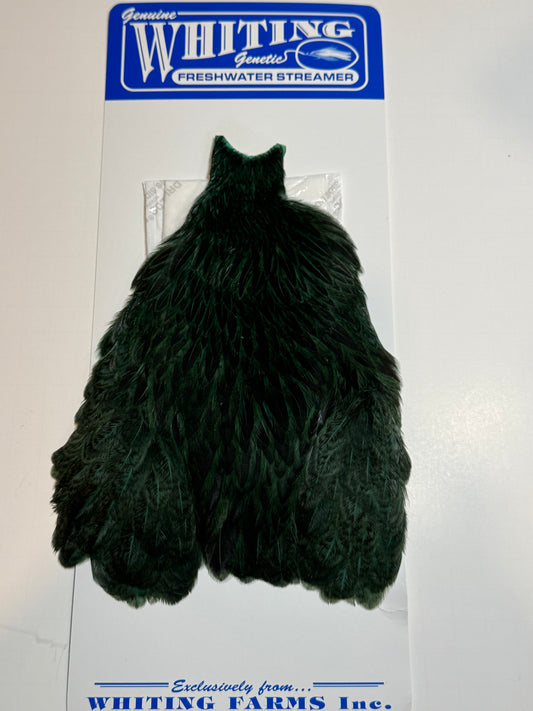 Whiting Farms Freshwater Streamer Hen Cape: Badger Dyed Peacock SH-E-140