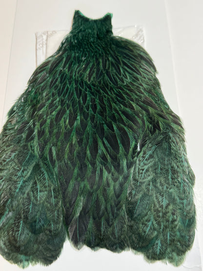 Whiting Farms Freshwater Streamer Hen Cape: Badger Dyed Peacock SH-E-140