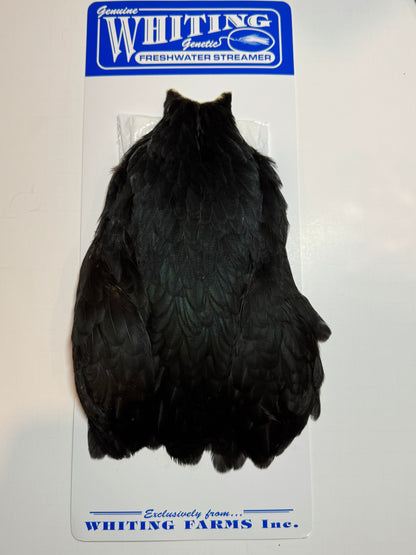 Whiting Farms Freshwater Streamer Hen Cape: Black SH-E-143