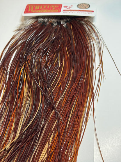 Whiting Farms Bronze Midge Saddle Hackle: Brown SH-E-195