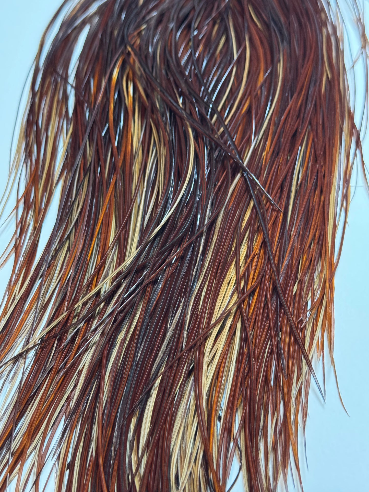 Whiting Farms Bronze Midge Saddle Hackle: Brown SH-E-195