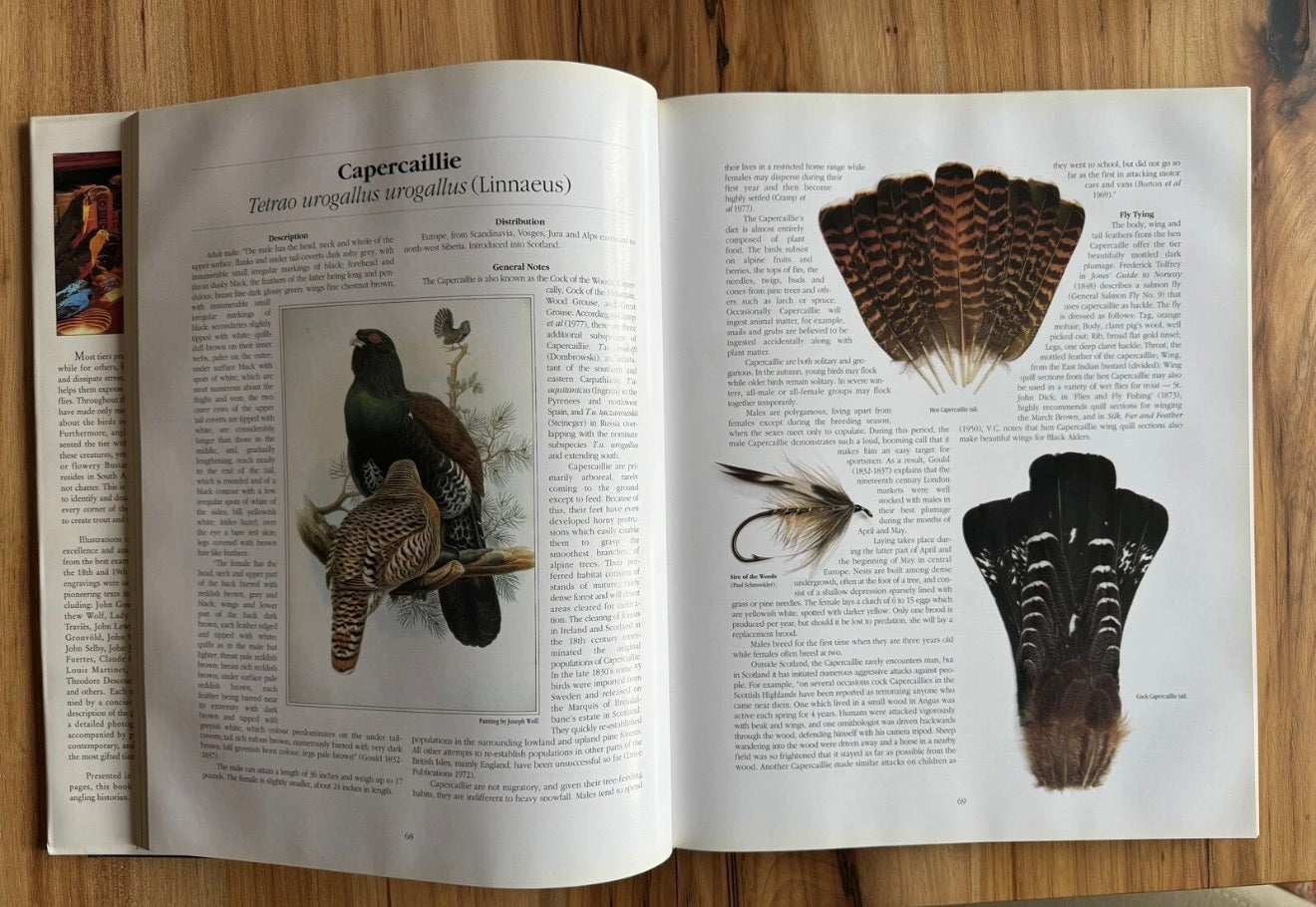 Rare and Unusual Fly Tying Materials: A Natural History – Volume 1: Birds First Edition – Signed by Both Authors Paul Schmookler & Ingrid V. Sils