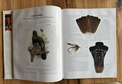 Rare and Unusual Fly Tying Materials: A Natural History – Volume 1: Birds First Edition – Signed by Both Authors Paul Schmookler & Ingrid V. Sils
