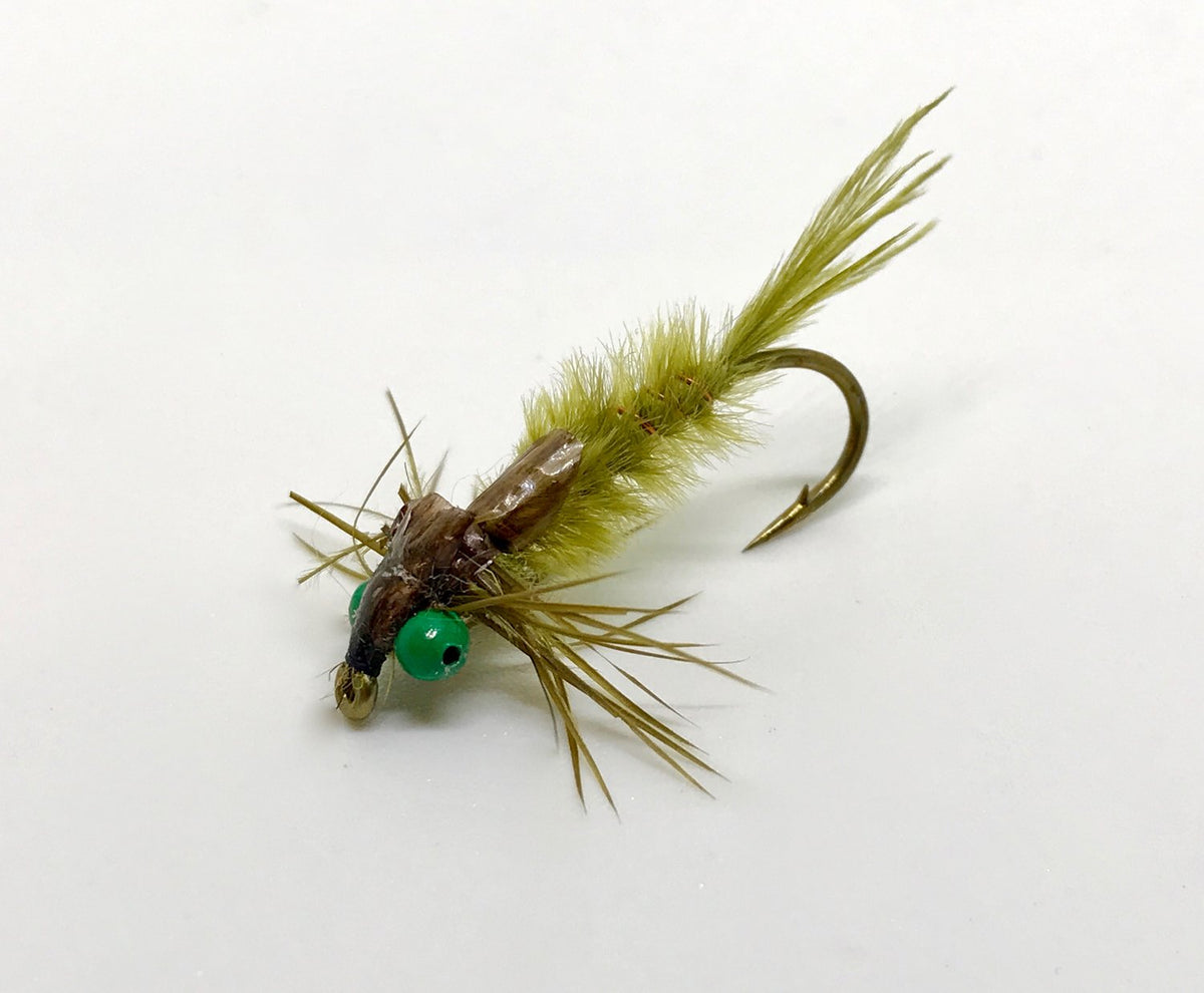 GREEN EYED DAMSEL FLY NYMPH