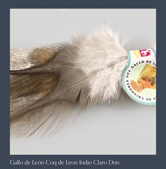 Coq de León - Authentic León Province (Ed Madrigal)