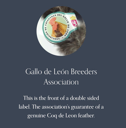 Coq de León - Authentic León Province (Ed Madrigal)